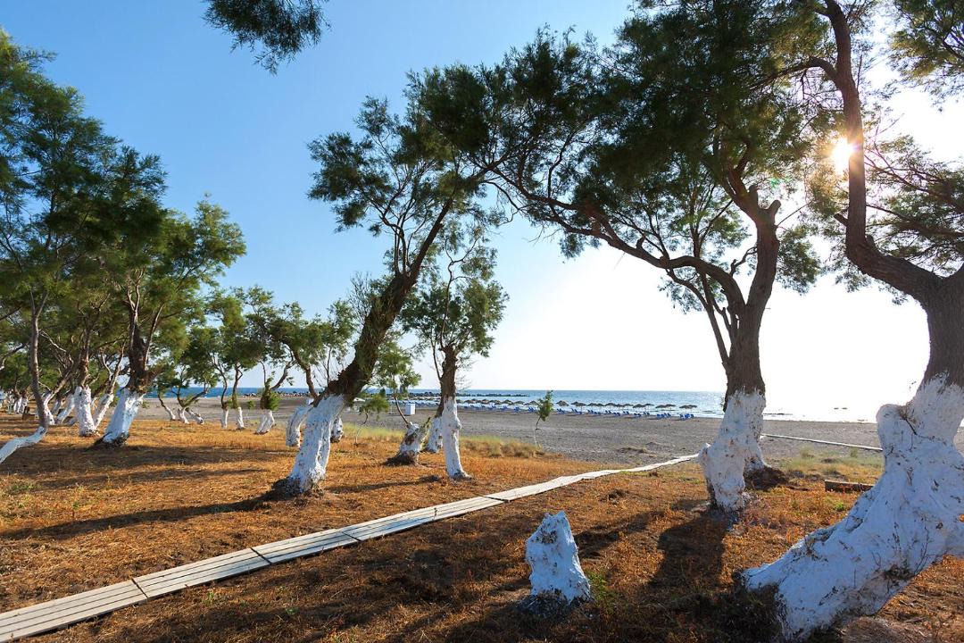 Photo of Others in Monolithos