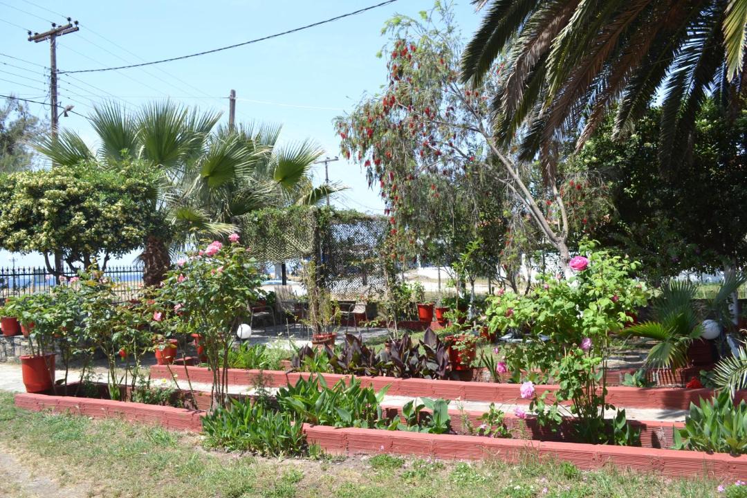 Photo of Others in Toroni