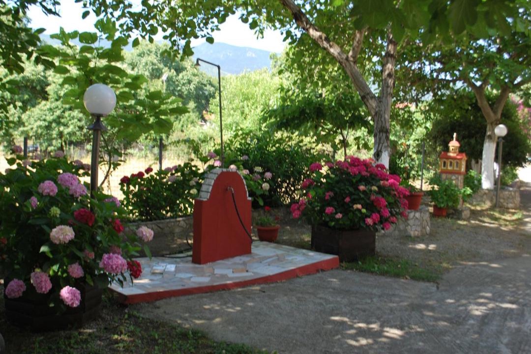Photo of Others in Paralia Skotinis