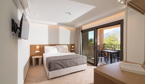 Superior Double or Twin Room, Mountain View