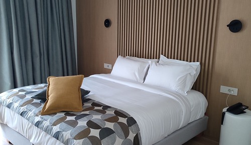 Accessible Deluxe Double or Twin Room, Balcony, Garden View