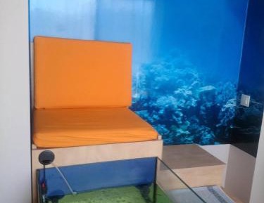 Double Room with Fish Spa Therapy
