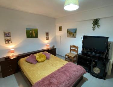 One-Bedroom Apartment with Garden View