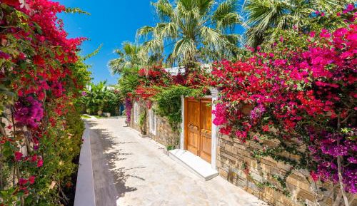 Deluxe One-Bedroom Villa with Private Pool and Private Beach Area