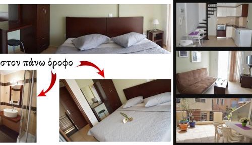 Standard Apartment (3 Adults)