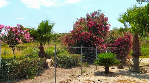 Aloizianika House | Mareliva Retreat