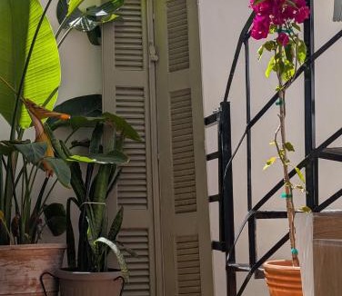 Zavlani Apartment | Eriad Patras - Calm Luxury Stay In The City