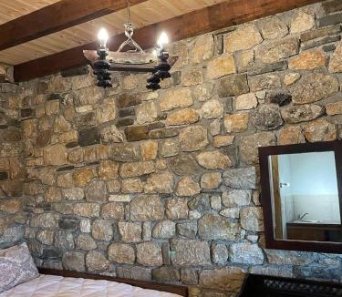 Ramia Ski Chalet | Villa Lochia - Το Πέτρινο του Θωμά
