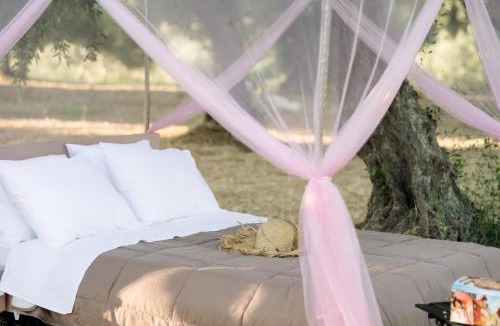 Ilida Other | Star Sleep Elis Land Estate - Eleni