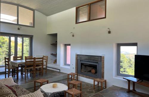 Seta House | Seta Forest House