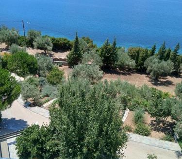 Mytilene Apartment | lianas house