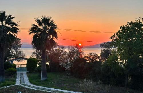 Oropos Villa | Gate to the blue