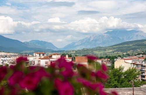 Meteora Apartment | Gela
