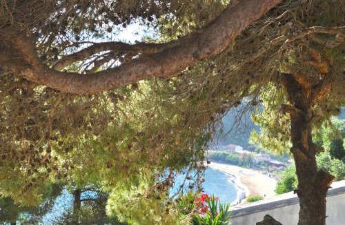 Parelia Apartment | Studio Apartments Swimming Pool and sea view on Pelekas Beach