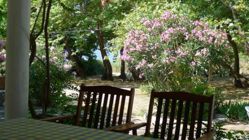Marathias Villa | Villa Goitia
