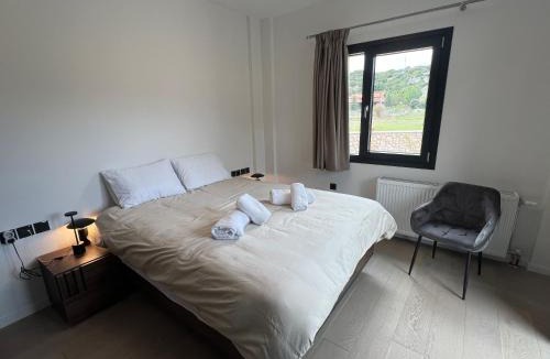 Kato Pedina Villa | Arachova Villa Paris