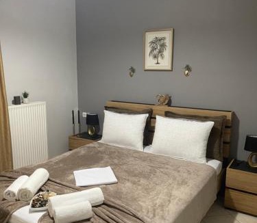 Ioannina Apartment | Vasilis Luxury Apartment
