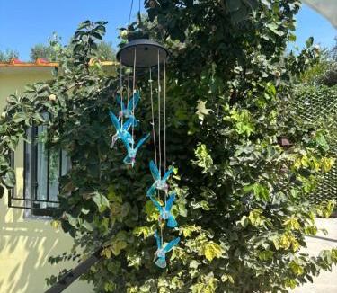Sfendamion Apartment | ΚΛΕΟΠΑΤΡΑ