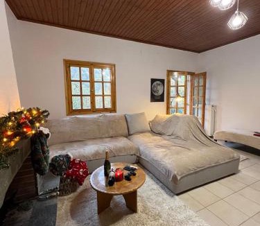 Makrakomi Ski Chalet | Forest view Aggeliki