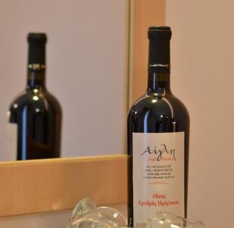 Leptokaria Apartment | Aigli Rooms