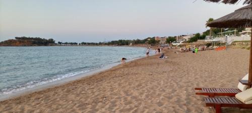 Daratsos Apartment | "Spyros" 1-Room Apartment - Simple, cozy, close to the beach