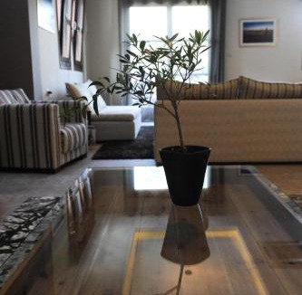 Volos Hotel | Pilion Terra Hotel