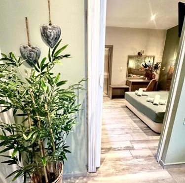 ΑVLI Sarti Studios & Apartments no1
