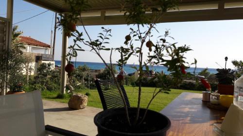 Rodia Beach Suites